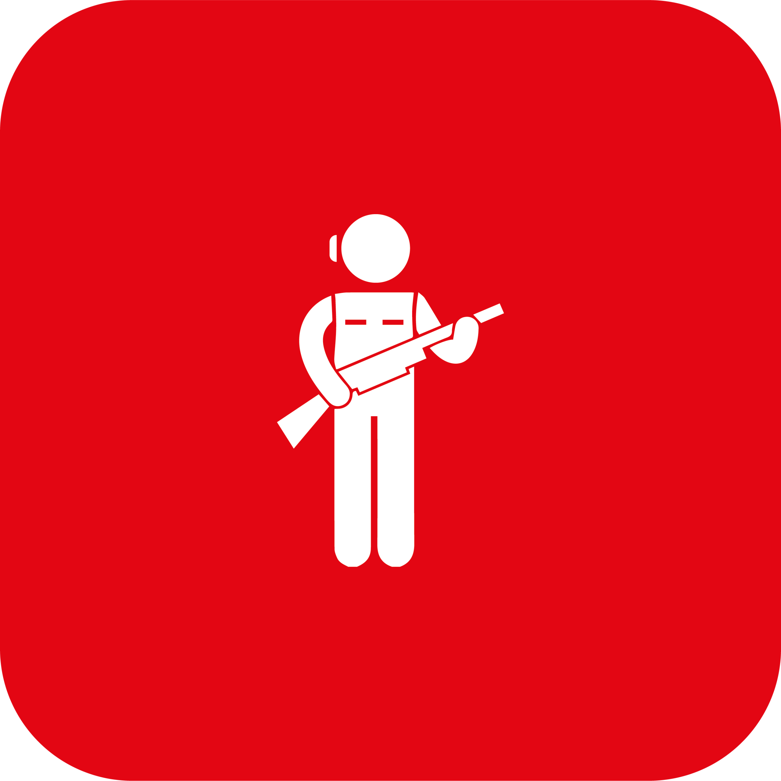 Armed Guard Service